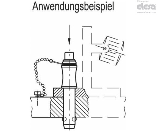 GN 113.3 - Kugelsperrbolzen