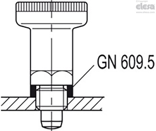 GN 617.1-A-NI - Avec bouton en technopolymère, sans contre-écrou